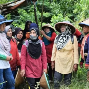 Perempuan dan kehutanan komunitas di Indonesia