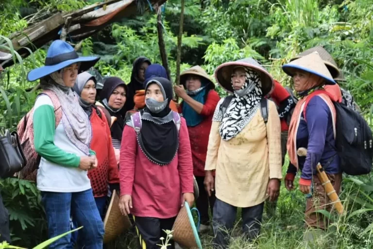 Perempuan dan kehutanan komunitas di Indonesia