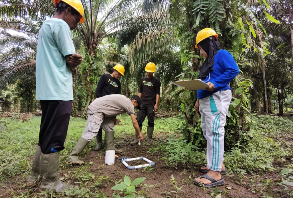 Pengaplikasian hasil fermentasi kotoran hewan oleh petani