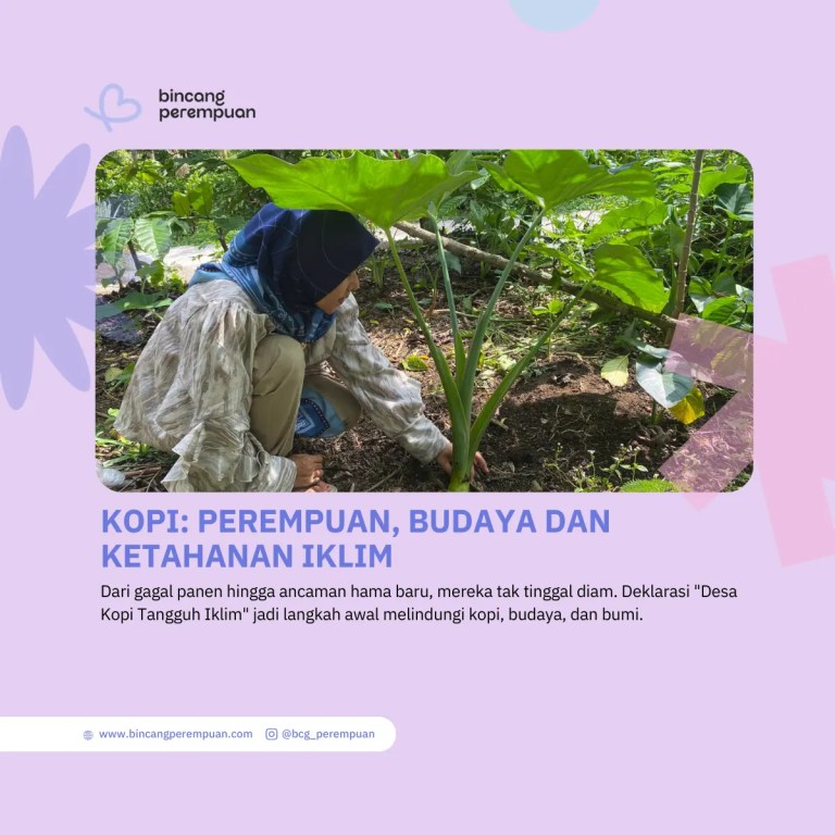 Kopi Perempuan, Budaya dan Ketahanan Iklim
