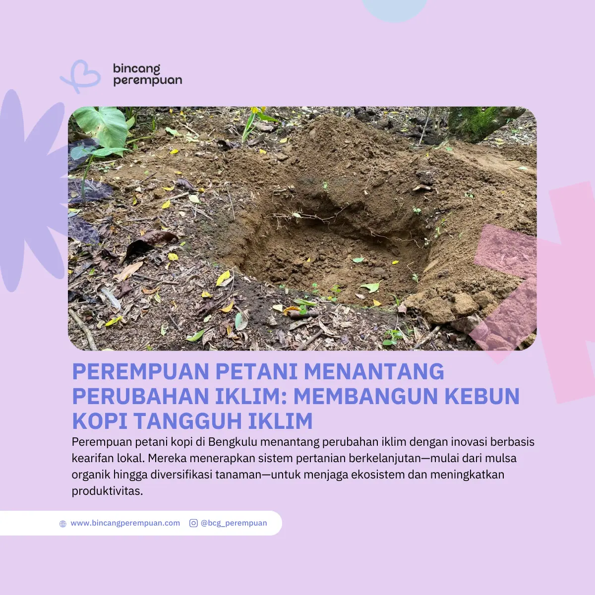 Perempuan Petani Menantang Perubahan Iklim Membangun Kebun Kopi Tangguh Iklim