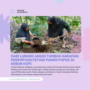 Dari Lubang Angin Tumbuh Harapan Perempuan Petani KOPI Panen PUPUK di Kebun Kopi (1)