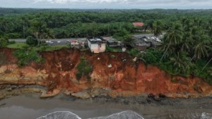 Ketika Negara “Membiarkan” Bengkulu Hilang
