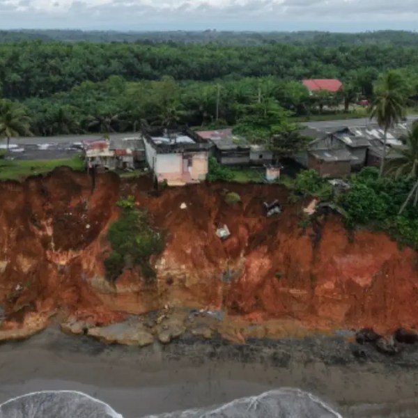Ketika Negara “Membiarkan” Bengkulu Hilang