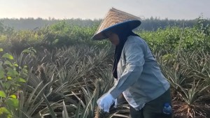 Dulu Ibu Rumah Tangga, Kini Perempuan Dayun…