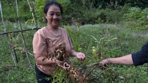 Menjaga Hutan, Menjamin Pangan: Cara Perempuan Ansok&hellip;