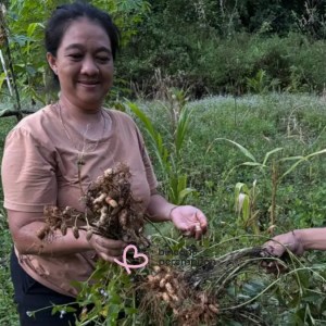 Dusun Ansok, Desa Benua Kencana, Kabupaten Sintang, Kalimantan Barat