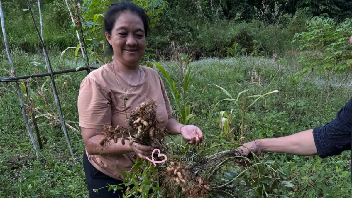 Dusun Ansok, Desa Benua Kencana, Kabupaten Sintang, Kalimantan Barat