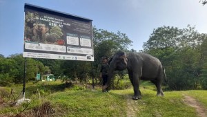 Bentang Alam Seblat dan Menyempitnya Ruang Hidup…